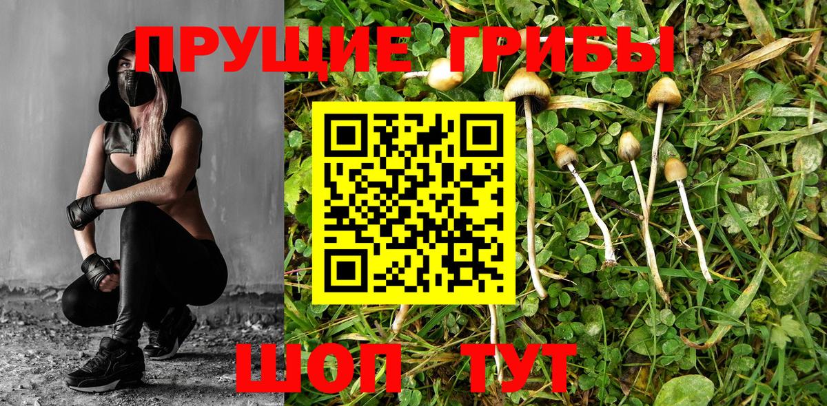 Галлюциногенные грибы Magic Shrooms Ангарск